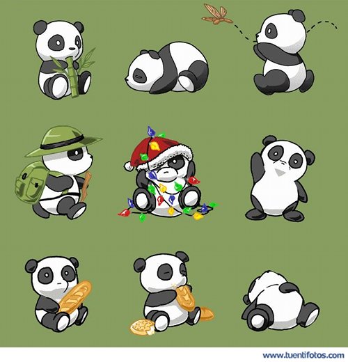 Amigos En Panditas