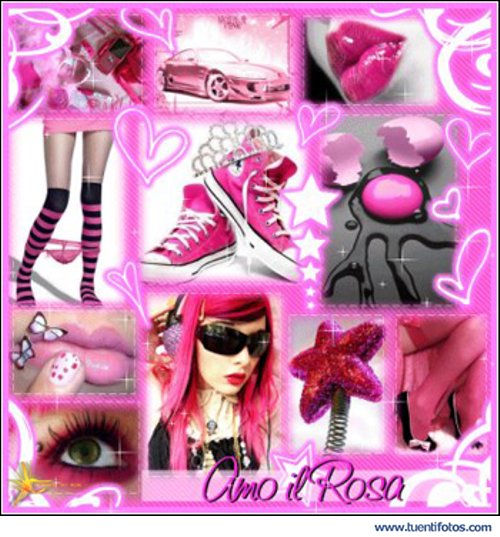 Amo El Rosa