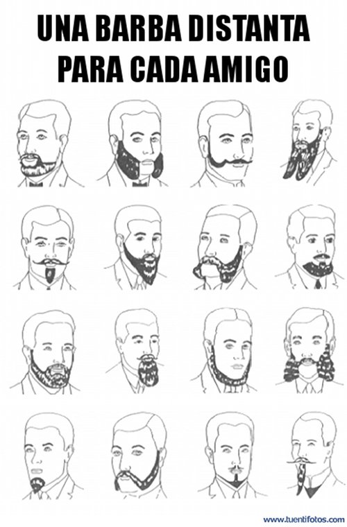 Barba Para Cada Amigo