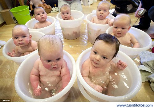 Bebes En Cubos