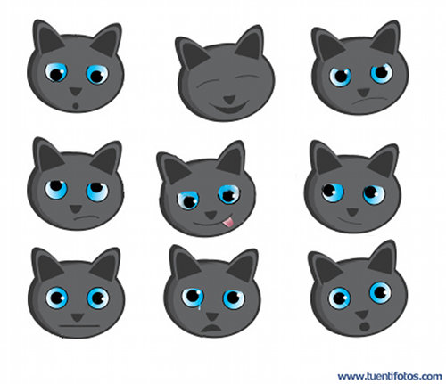 Animales de Caras De Gatitos