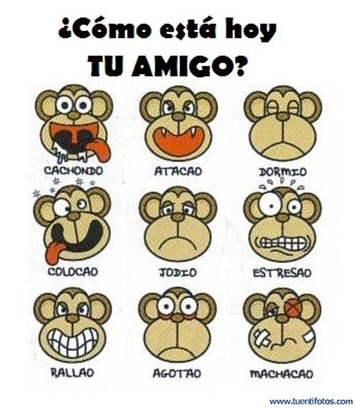 Como Está Hoy Tu Amigo