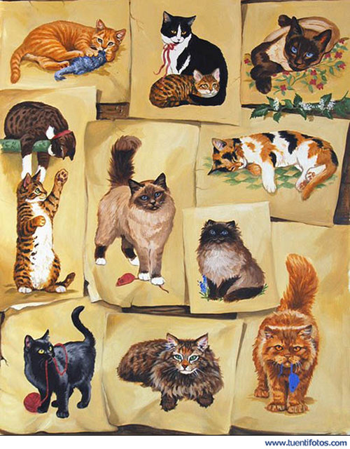 Dibujos De Gatos