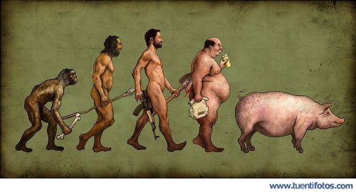 Evolución Al Cerdo