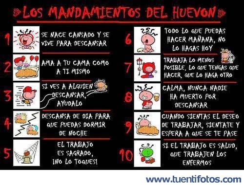 Los Mandamientos Del Huevon