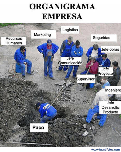 Organigrama de Empresa
