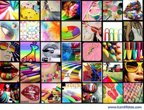 Todo Tiene Color