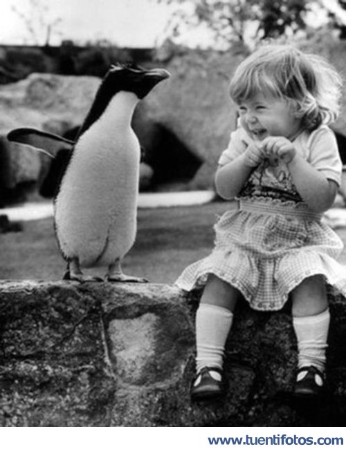 Amiga Del Pinguino