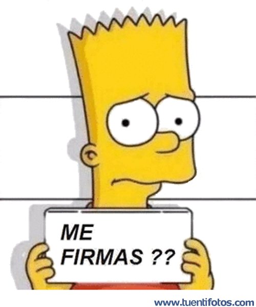 Frases de Bart Pide Firma