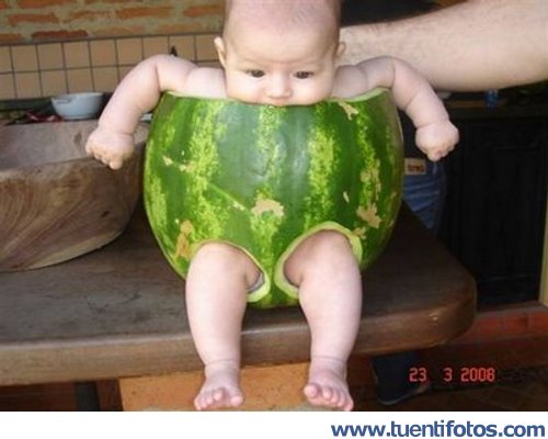 Tiernas de Bebe En Sandía