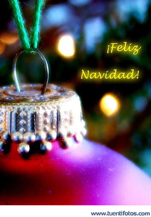 Bola Del Árbol De Navidad