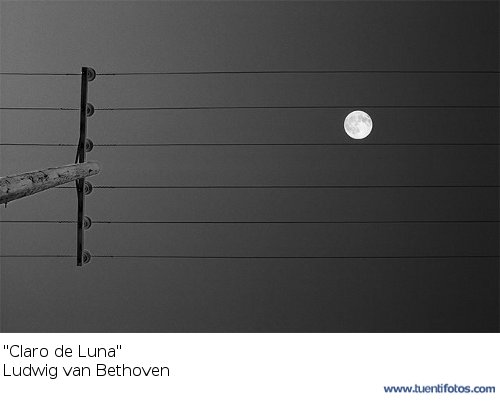 &quot;Claro de Luna&quot; Beethoven