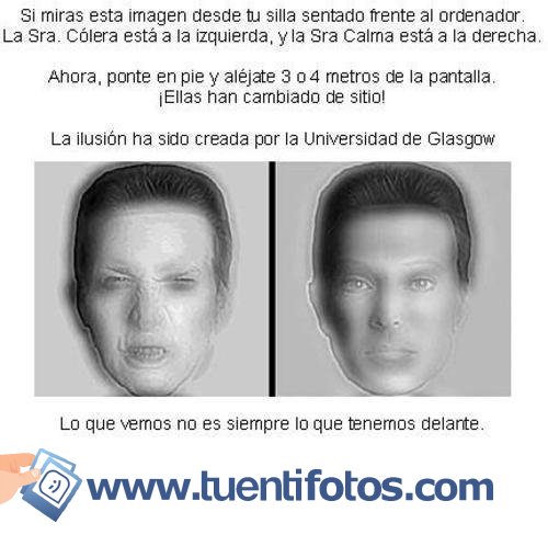 Colera Y Calma