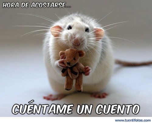 Cuentame Un Cuento