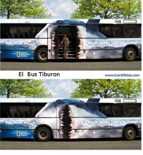 El Bus Tiburon