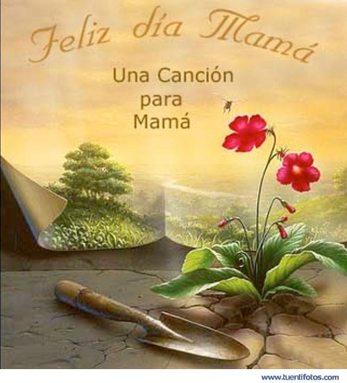 Fotos Dia de la Madre 1