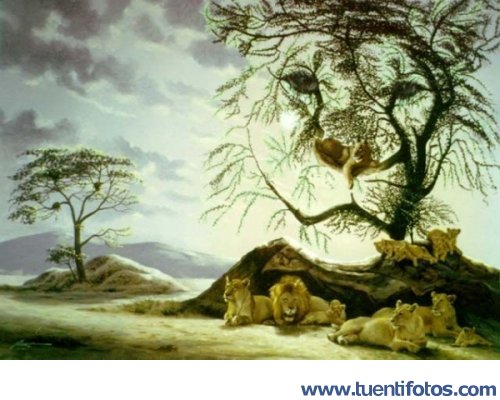Ilusión Leones