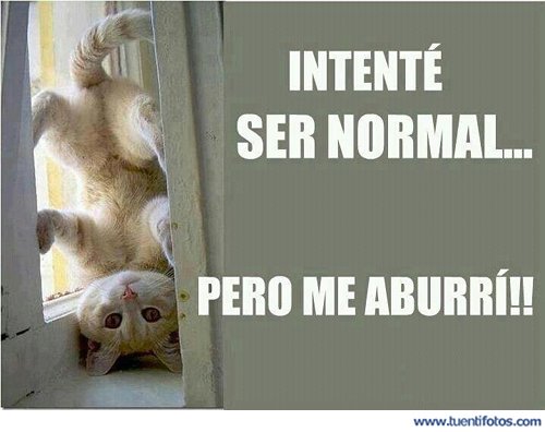 Intente Ser Normal