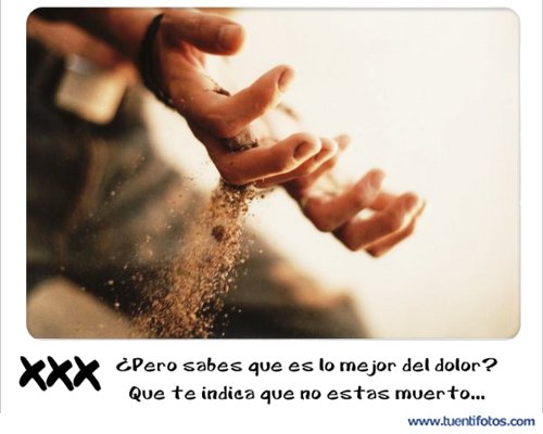 Frases de Lo Mejor Del Dolor