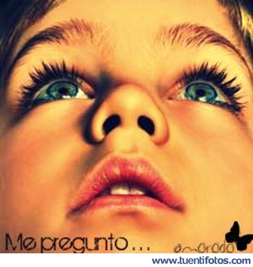 Frases de Me Pregunto