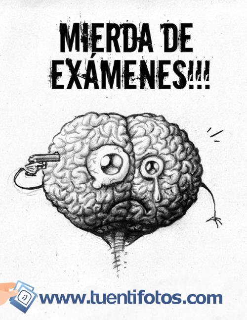 Frases de Mierda de Examenes