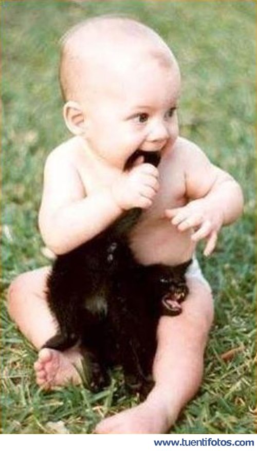 Mordiendo Al Gato