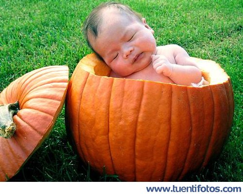 Niño Dormido En Calabaza.jpg