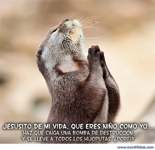 Nutria Rezando