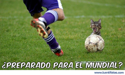 Preparado Para El Mundial