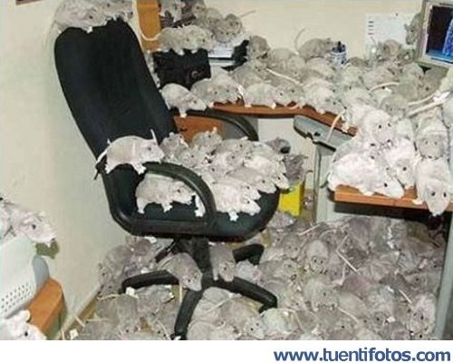Ratoncitos de Ikea