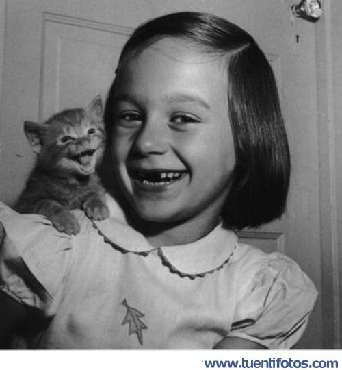 Riendo Con Gatito