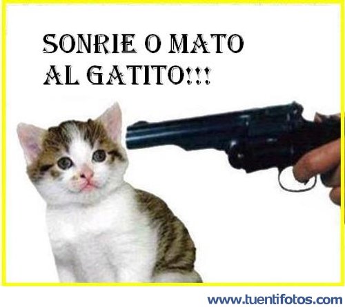 Frases de Sonrie O Mato Al Gatito