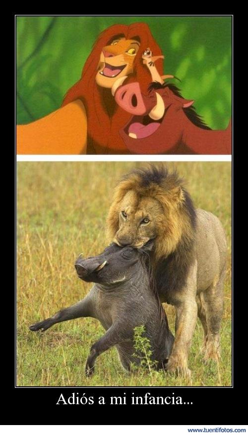 Animales de Adios Infancia