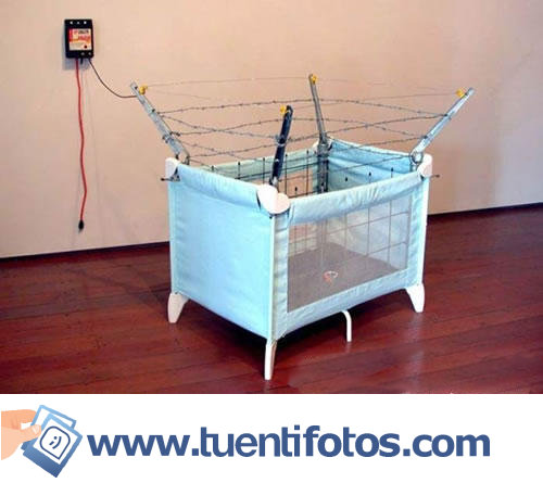 Curiosidades de Bebes Más Seguros