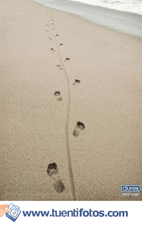 Curiosidades de Bien Dotado En La Playa