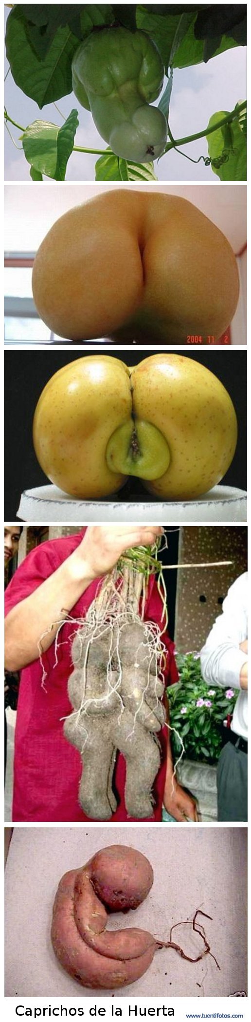 Caprichos De La Huerta
