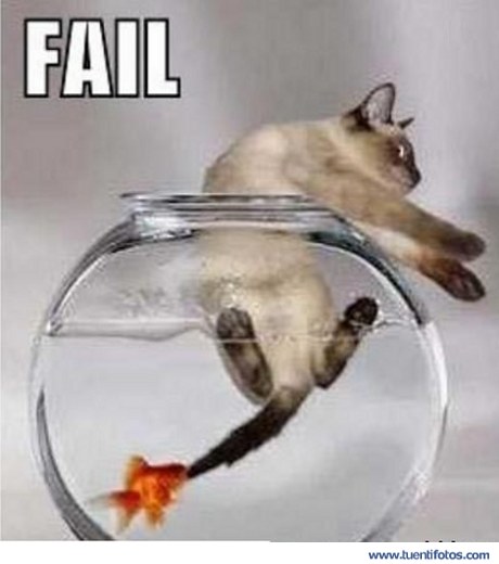 Animales de Cazador Cazado