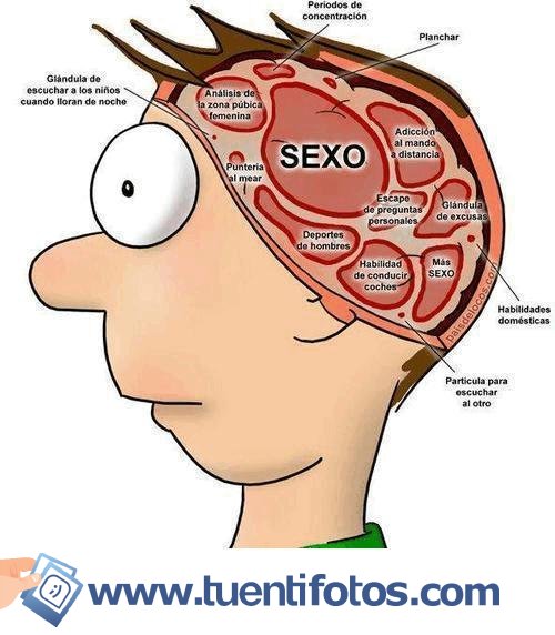 Feminista de Cerebro De El Hombre