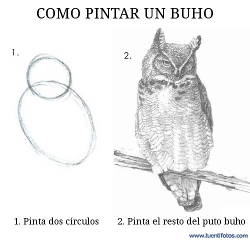 Como Pintar Un Buho