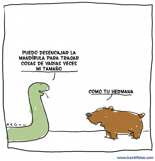 Chistes de Desencajar Mandíbula