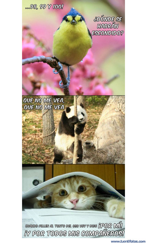 Animales de Donde Se Han Escondido