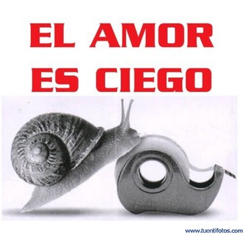 Animales de El Amor Es Ciego