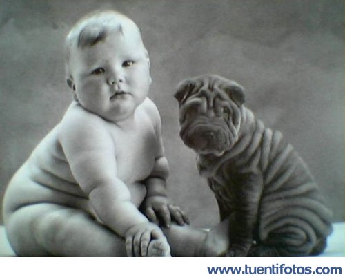 Parecidos de El Hermano Gemelo Es Un Perro