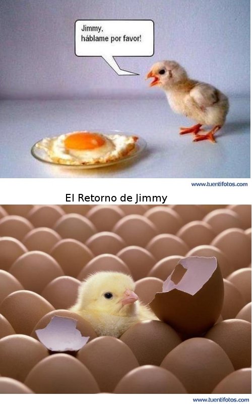 Animales de El Retorno de Jimmy