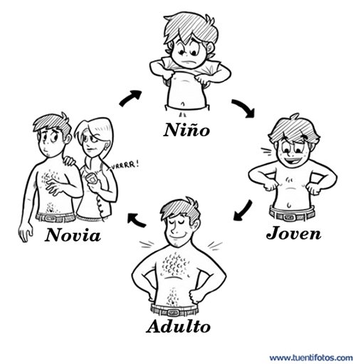 Etapas Del Hombre