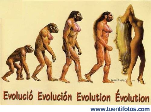 Chistes de Evolución De La Mujer