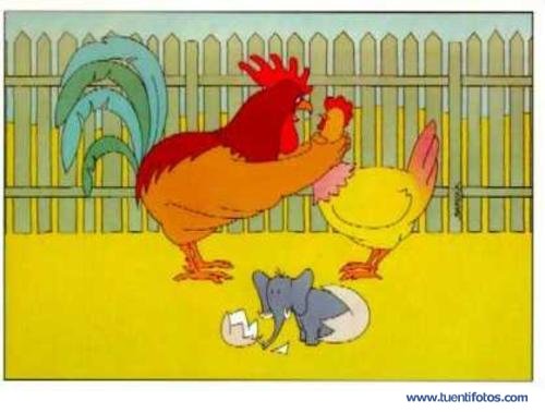 Chistes de Gallina Infiel