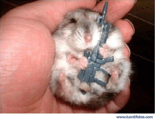 Animales de Hamster Soldado Dormilon
