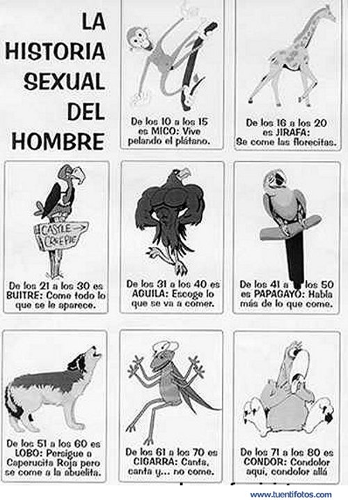 Feminista de Historia Sexual del Hombre