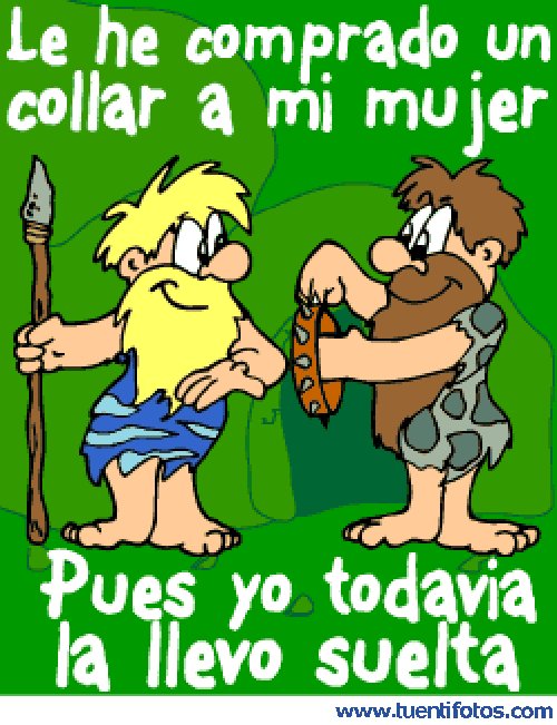 Le He Comprado Un Collar